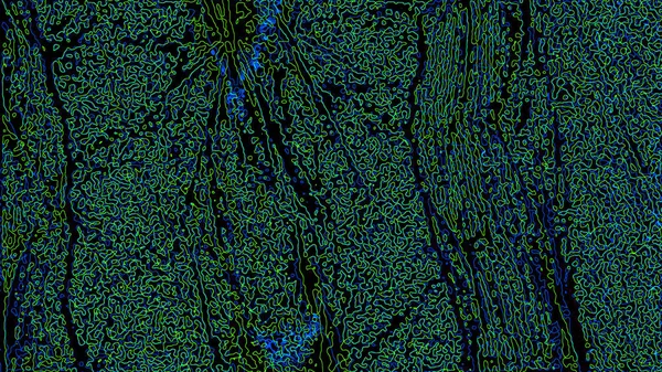 Fantezi kaotik renkli fraktal desen. Soyut Fraktal şekiller. 3D render resimde arka plan veya duvar kağıdı