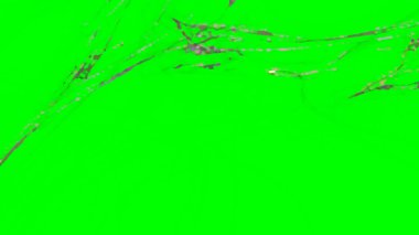 Fantezi kaotik renkli fraktal desen. Soyut Fraktal şekiller. 3D render resimde arka plan veya duvar kağıdı