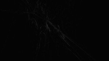 Fantezi kaotik renkli fraktal desen. Soyut Fraktal şekiller. 3D render resimde arka plan veya duvar kağıdı