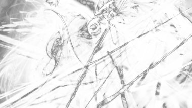 Fantezi kaotik renkli fraktal desen. Soyut Fraktal şekiller. 3D render resimde arka plan veya duvar kağıdı