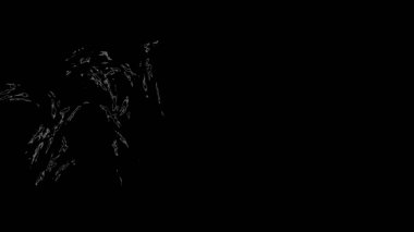 Fantezi kaotik renkli fraktal desen. Soyut Fraktal şekiller. 3D render resimde arka plan veya duvar kağıdı