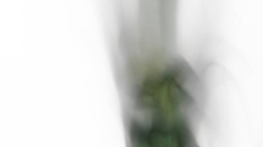 Fantezi kaotik renkli fraktal desen. Soyut Fraktal şekiller. 3D render resimde arka plan veya duvar kağıdı