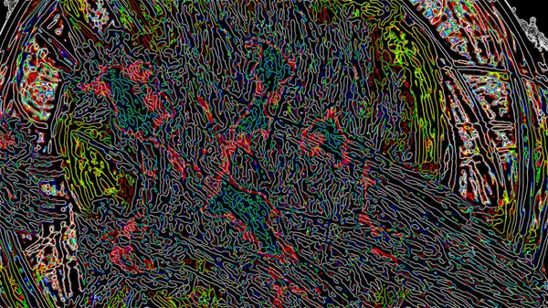 Фантазия Хаотичной Красочной Фрактальной Картины Абстрактные Фрактальные Формы Рендеринг Фона — стоковое фото