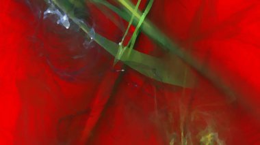 Fantezi kaotik renkli fraktal desen. Soyut Fraktal şekiller. 3D render resimde arka plan veya duvar kağıdı