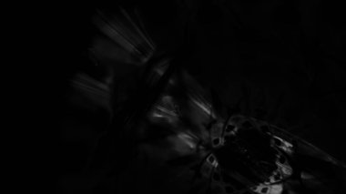 Fantezi kaotik renkli fraktal desen. Soyut Fraktal şekiller. 3D render resimde arka plan veya duvar kağıdı