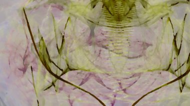 Fantezi kaotik renkli fraktal desen. Soyut Fraktal şekiller. 3D render resimde arka plan veya duvar kağıdı