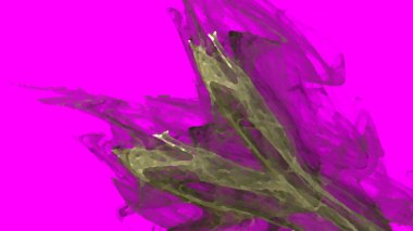 Fantezi kaotik renkli fraktal desen. Soyut Fraktal şekiller. 3D render resimde arka plan veya duvar kağıdı