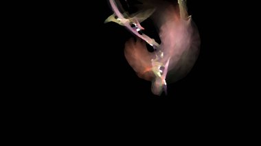 Fantezi kaotik renkli fraktal desen. Soyut Fraktal şekiller. 3D render resimde arka plan veya duvar kağıdı