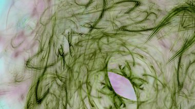 Fantezi kaotik renkli fraktal desen. Soyut Fraktal şekiller. 3D render resimde arka plan veya duvar kağıdı