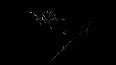 Fantezi kaotik renkli fraktal desen. Soyut Fraktal şekiller. 3D render resimde arka plan veya duvar kağıdı