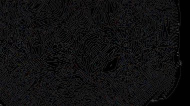 Fantezi kaotik renkli fraktal desen. Soyut Fraktal şekiller. 3D render resimde arka plan veya duvar kağıdı