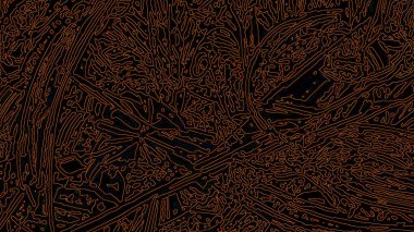 Fantezi kaotik renkli fraktal desen. Soyut Fraktal şekiller. 3D render resimde arka plan veya duvar kağıdı