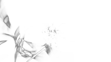 Fantezi kaotik renkli fraktal desen. Soyut Fraktal şekiller. 3D render resimde arka plan veya duvar kağıdı