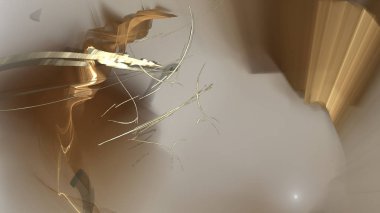 Fantezi kaotik renkli fraktal desen. Soyut Fraktal şekiller. 3D render resimde arka plan veya duvar kağıdı