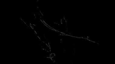 Fantezi kaotik renkli fraktal desen. Soyut Fraktal şekiller. 3D render resimde arka plan veya duvar kağıdı