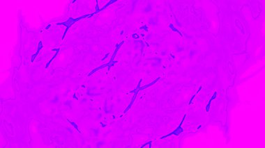 Fantezi kaotik renkli fraktal desen. Soyut Fraktal şekiller. 3D render resimde arka plan veya duvar kağıdı