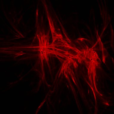 Fantezi kaotik renkli fraktal desen. Soyut Fraktal şekiller. 3D render resimde arka plan veya duvar kağıdı