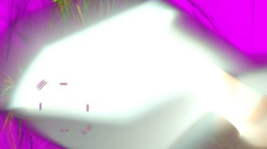 Fantezi kaotik renkli fraktal desen. Soyut Fraktal şekiller. 3D render resimde arka plan veya duvar kağıdı