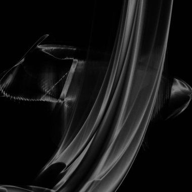 Fantezi kaotik renkli fraktal desen. Soyut Fraktal şekiller. 3D render resimde arka plan veya duvar kağıdı