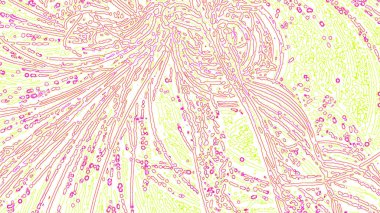 Fantezi kaotik renkli fraktal desen. Soyut Fraktal şekiller. 3D render resimde arka plan veya duvar kağıdı