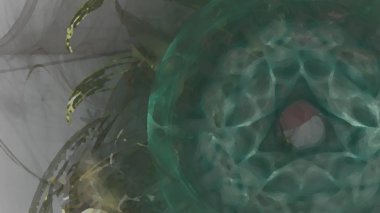 Fantezi kaotik renkli fraktal desen. Soyut Fraktal şekiller. 3D render resimde arka plan veya duvar kağıdı