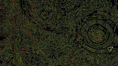 Fantezi kaotik renkli fraktal desen. Soyut Fraktal şekiller. 3D render resimde arka plan veya duvar kağıdı