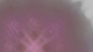 Fantezi kaotik renkli fraktal desen. Soyut Fraktal şekiller. 3D render resimde arka plan veya duvar kağıdı