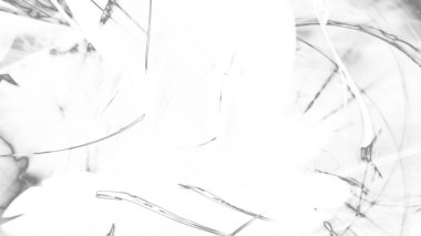 Fantezi kaotik renkli fraktal desen. Soyut Fraktal şekiller. 3D render resimde arka plan veya duvar kağıdı