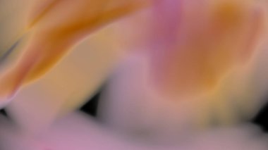 Fantezi kaotik renkli fraktal desen. Soyut Fraktal şekiller. 3D render resimde arka plan veya duvar kağıdı