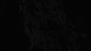 Fantezi kaotik renkli fraktal desen. Soyut Fraktal şekiller. 3D render resimde arka plan veya duvar kağıdı