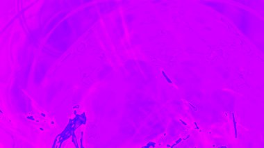 Fantezi kaotik renkli fraktal desen. Soyut Fraktal şekiller. 3D render resimde arka plan veya duvar kağıdı