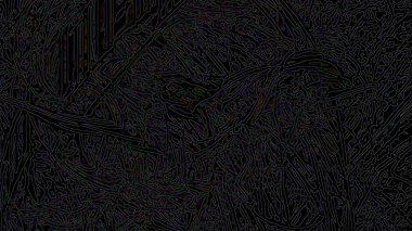 Fantezi kaotik renkli fraktal desen. Soyut Fraktal şekiller. 3D render resimde arka plan veya duvar kağıdı