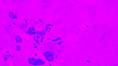 Fantezi kaotik renkli fraktal desen. Soyut Fraktal şekiller. 3D render resimde arka plan veya duvar kağıdı