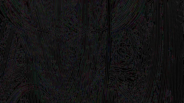 Fantasie chaotische kleurrijke fractale patroon. Abstracte fractale vormen. 3D rendering afbeelding achtergrond of behang — Stockfoto