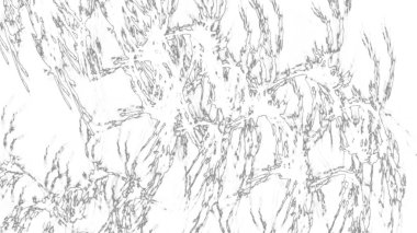 Fantezi kaotik renkli fraktal desen. Soyut Fraktal şekiller. 3D render resimde arka plan veya duvar kağıdı