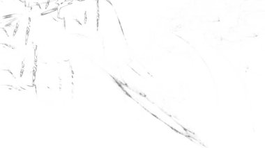 Fantezi kaotik renkli fraktal desen. Soyut Fraktal şekiller. 3D render resimde arka plan veya duvar kağıdı