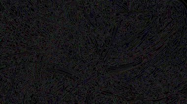 Fantezi kaotik renkli fraktal desen. Soyut Fraktal şekiller. 3D render resimde arka plan veya duvar kağıdı