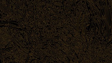 Fantezi kaotik renkli fraktal desen. Soyut Fraktal şekiller. 3D render resimde arka plan veya duvar kağıdı