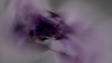 Fantezi kaotik renkli fraktal desen. Soyut Fraktal şekiller. 3D render resimde arka plan veya duvar kağıdı