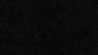 Fantezi kaotik renkli fraktal desen. Soyut Fraktal şekiller. 3D render resimde arka plan veya duvar kağıdı