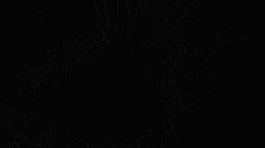 Fantezi kaotik renkli fraktal desen. Soyut Fraktal şekiller. 3D render resimde arka plan veya duvar kağıdı