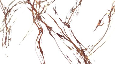 Fantezi kaotik renkli fraktal desen. Soyut Fraktal şekiller. 3D render resimde arka plan veya duvar kağıdı