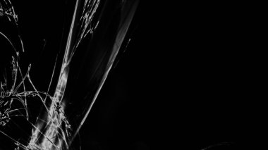 Fantezi kaotik renkli fraktal desen. Soyut Fraktal şekiller. 3D render resimde arka plan veya duvar kağıdı