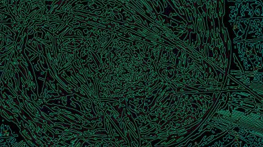 Fantezi kaotik renkli fraktal desen. Soyut Fraktal şekiller. 3D render resimde arka plan veya duvar kağıdı