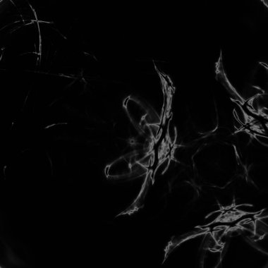 Fantezi kaotik renkli fraktal desen. Soyut Fraktal şekiller. 3D render resimde arka plan veya duvar kağıdı