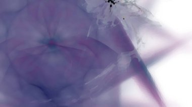 Fantezi kaotik renkli fraktal desen. Soyut Fraktal şekiller. 3D render resimde arka plan veya duvar kağıdı