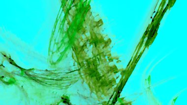 Fantezi kaotik renkli fraktal desen. Soyut Fraktal şekiller. 3D render resimde arka plan veya duvar kağıdı