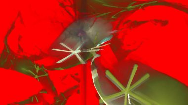 Fantezi kaotik renkli fraktal desen. Soyut Fraktal şekiller. 3D render resimde arka plan veya duvar kağıdı