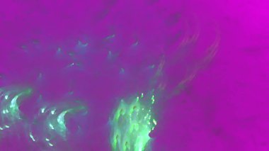 Fantezi kaotik renkli fraktal desen. Soyut Fraktal şekiller. 3D render resimde arka plan veya duvar kağıdı