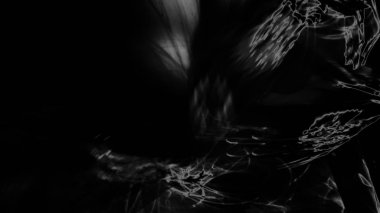 Fantezi kaotik renkli fraktal desen. Soyut Fraktal şekiller. 3D render resimde arka plan veya duvar kağıdı